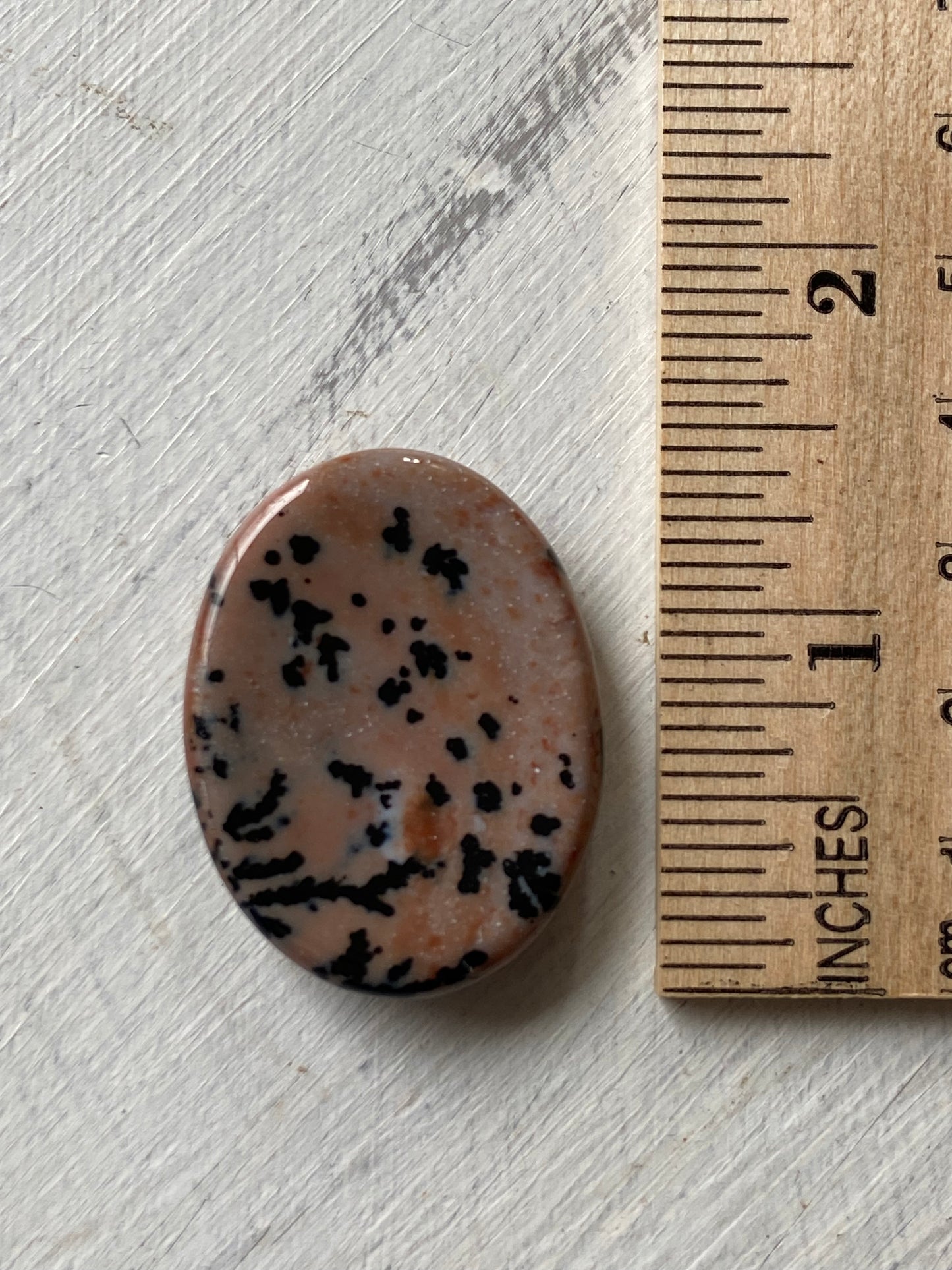 Dendritic Agate Worry Stone