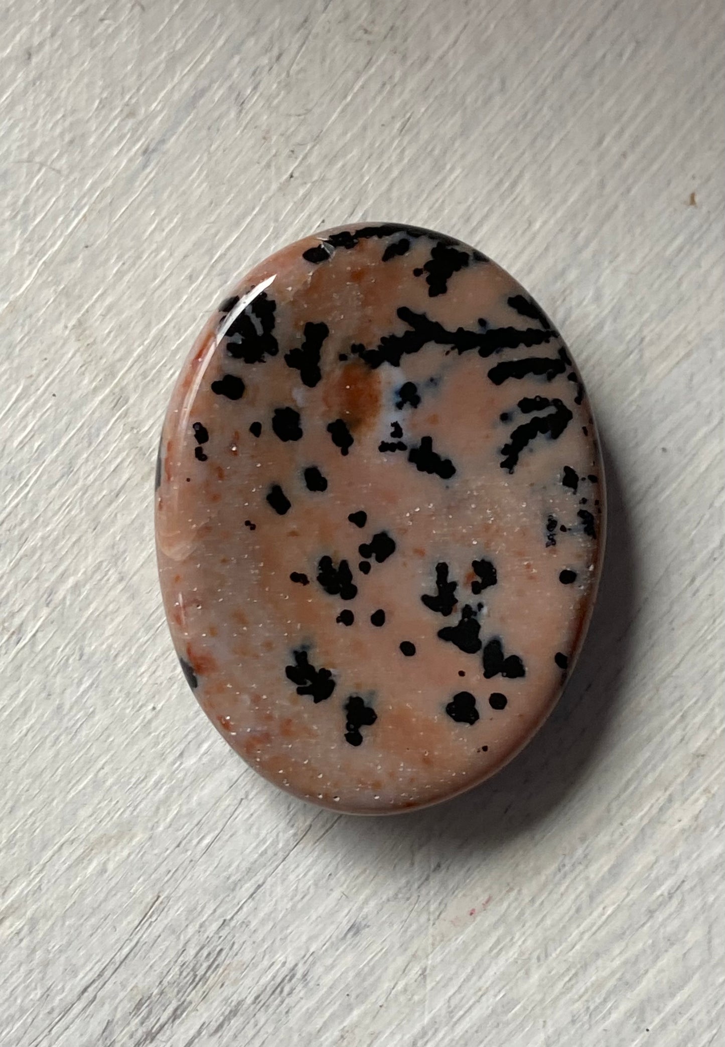 Dendritic Agate Worry Stone