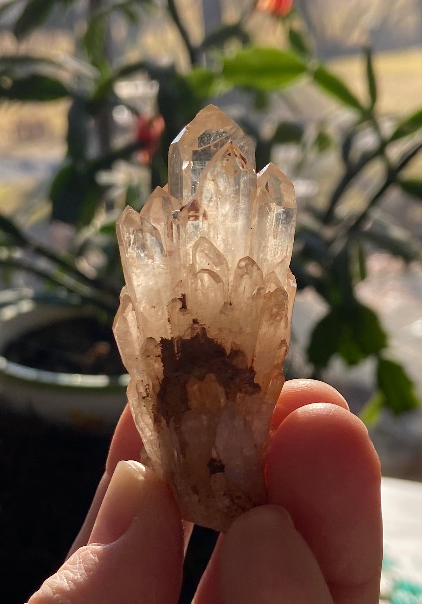 Natural Citrine Cathedral Cluster