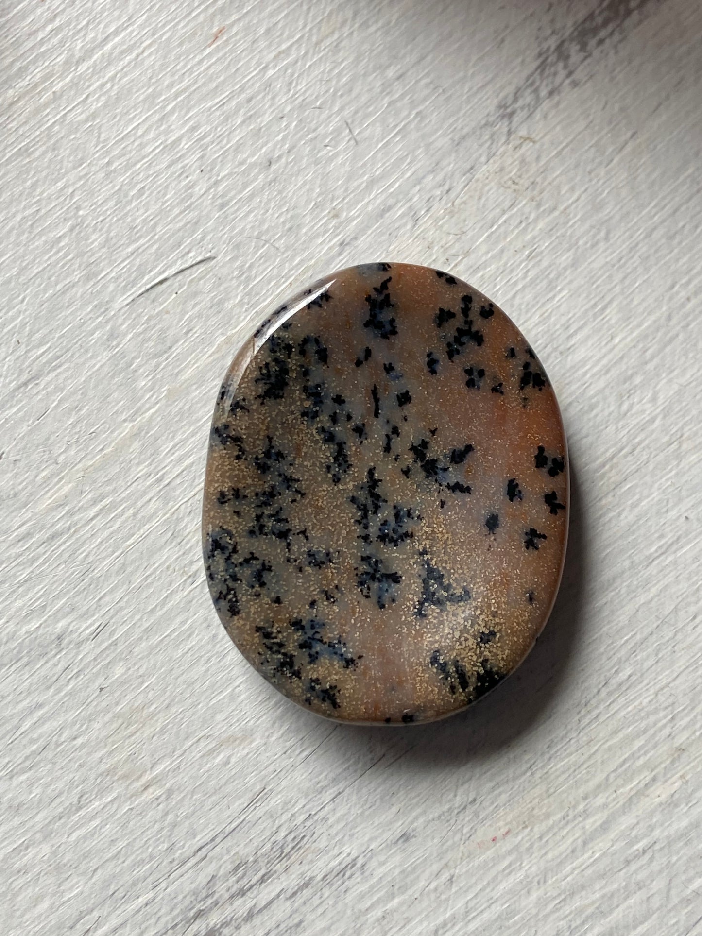 Dendritic Agate Worry Stone