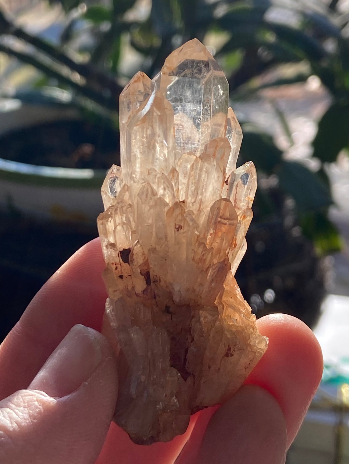 Natural Citrine Cathedral Cluster