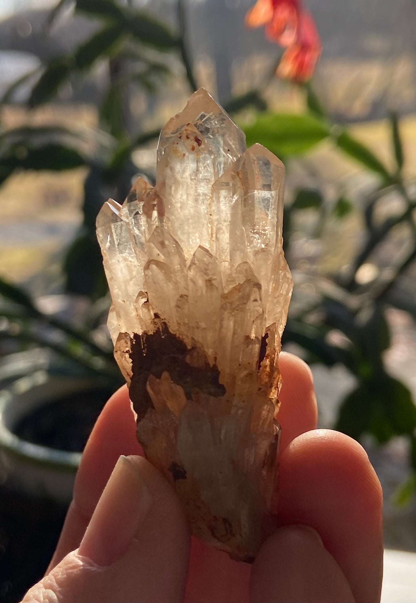 Natural Citrine Cathedral Cluster