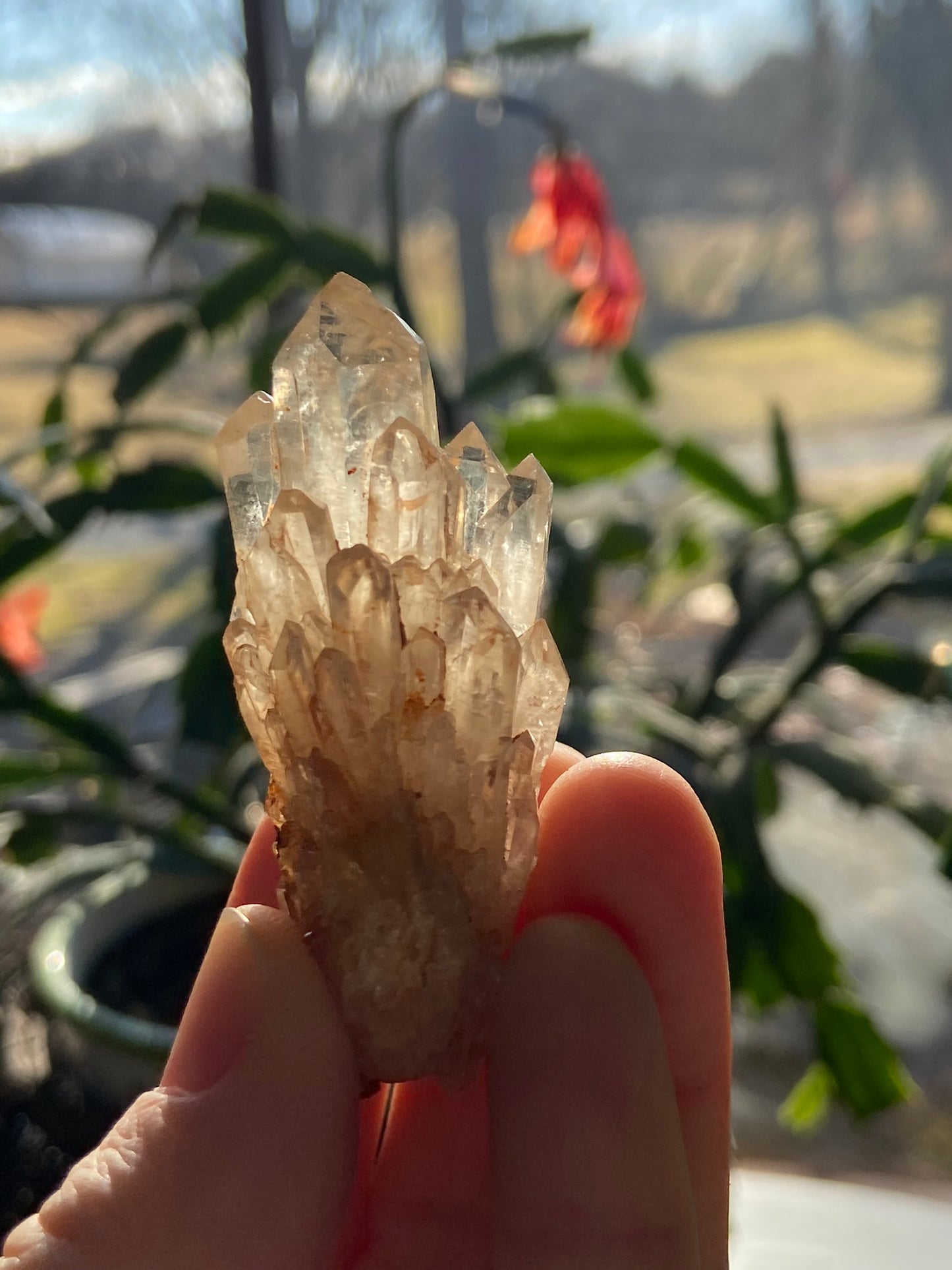 Natural Citrine Cathedral Cluster