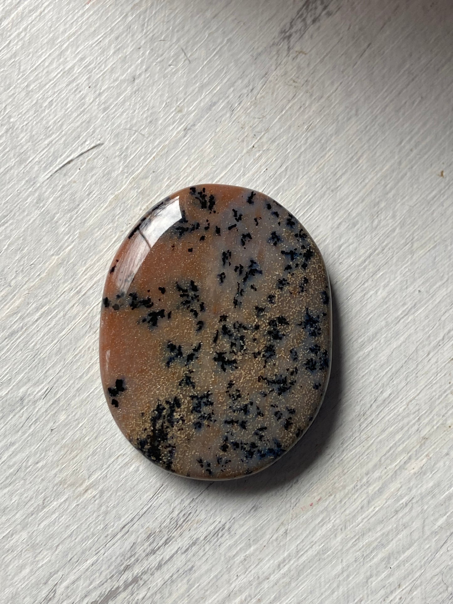 Dendritic Agate Worry Stone