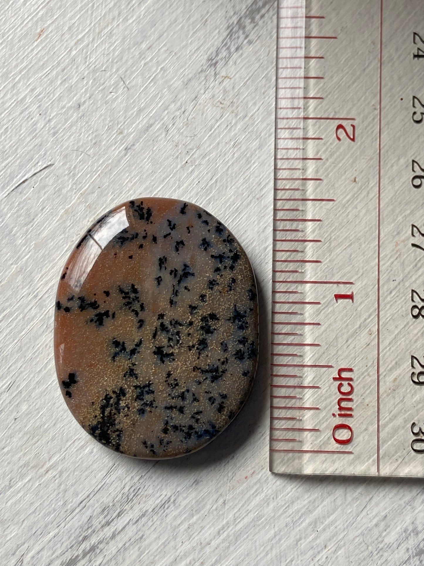 Dendritic Agate Worry Stone