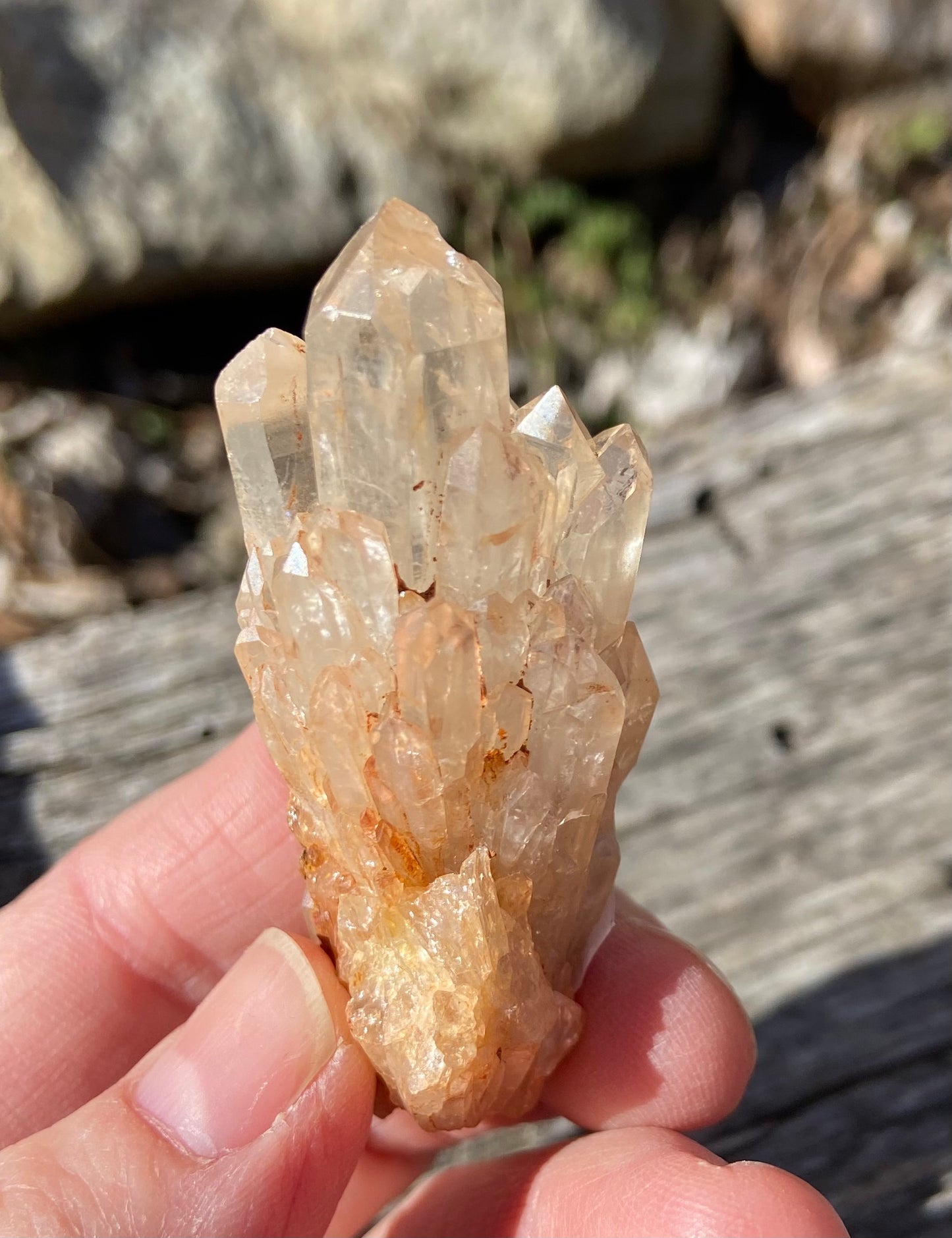 Natural Citrine Cathedral Cluster