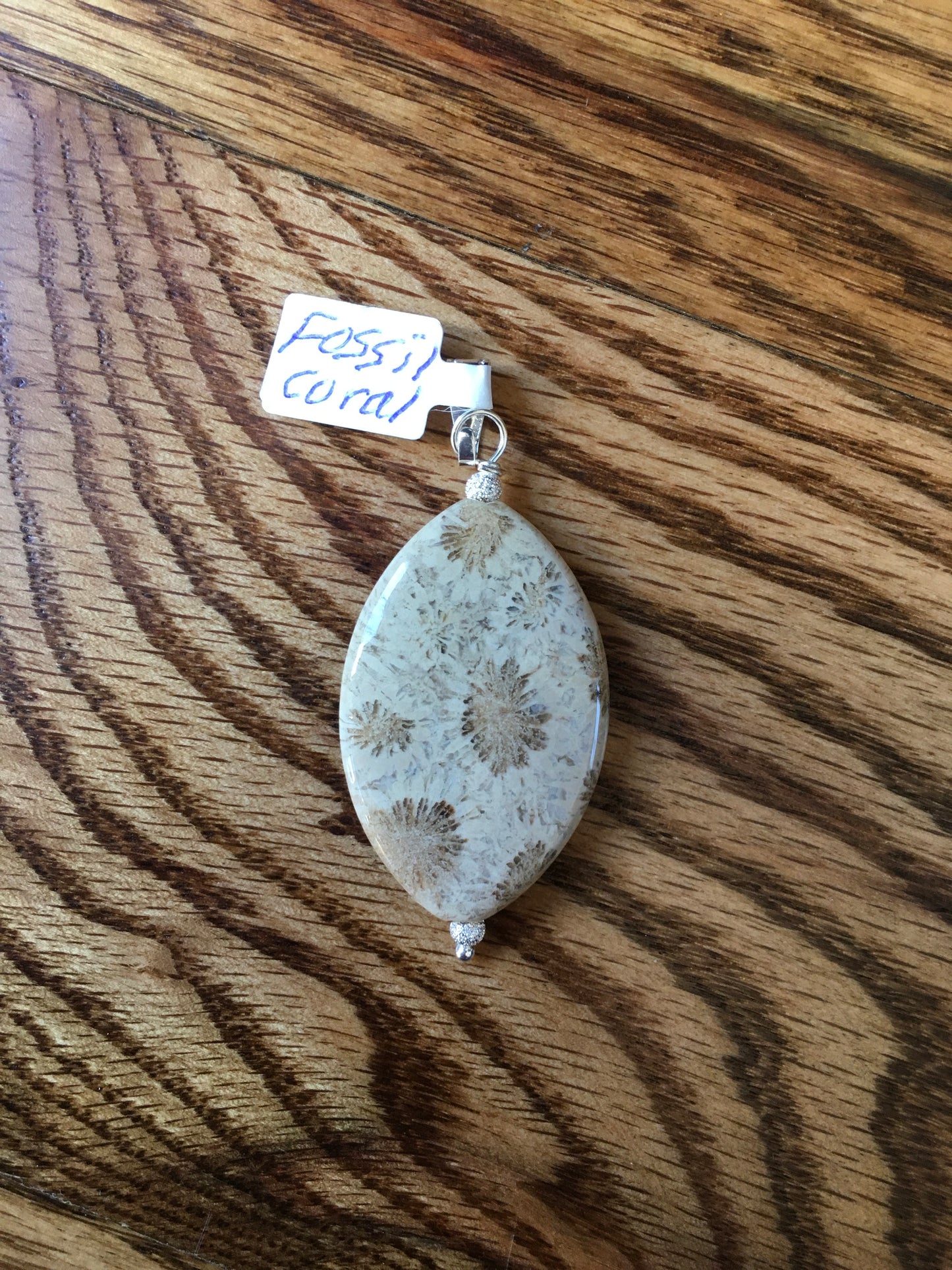 Fossil Coral Pendant