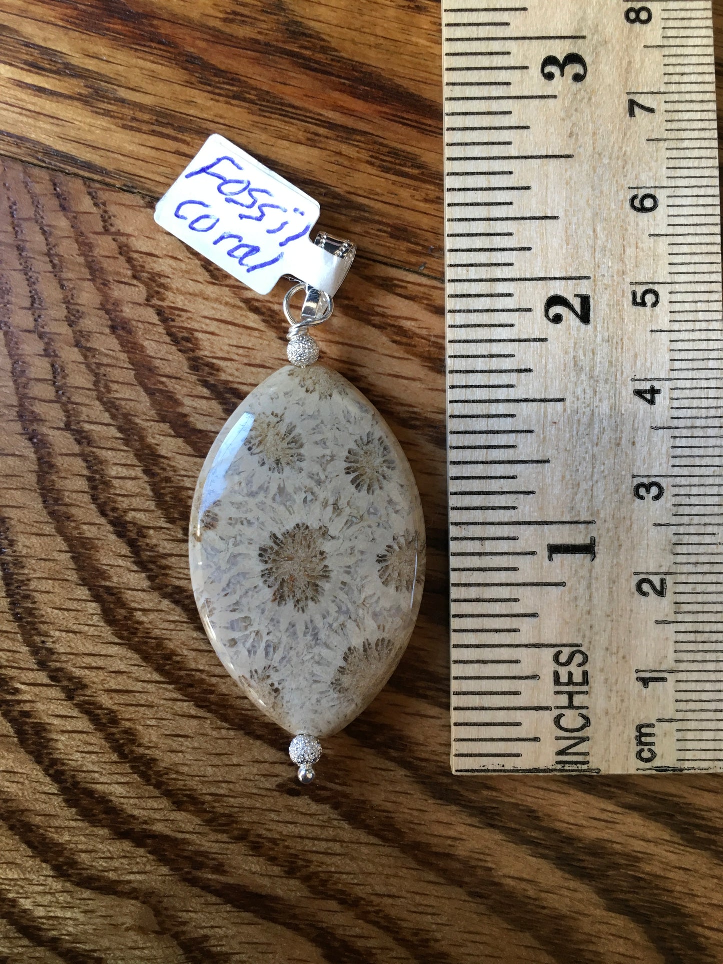 Fossil Coral Pendant